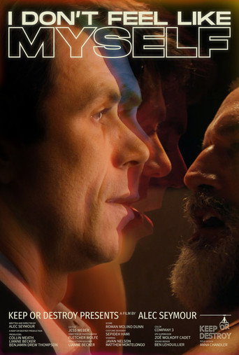 I Don't Feel Like Myself movie poster