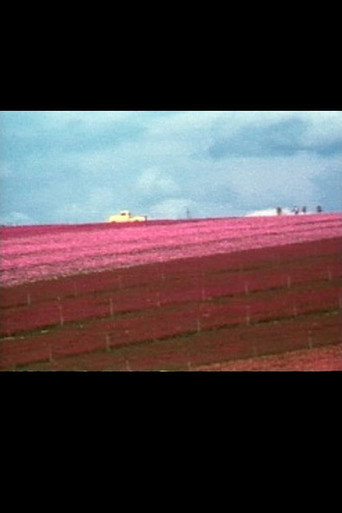 Flower Fields movie poster