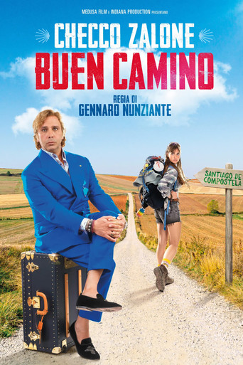 Buen Camino movie poster