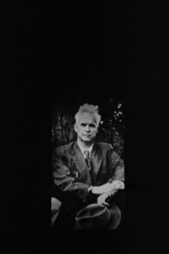 Oleksandr Dovzhenko. The Contemplations After Life movie poster