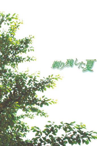 Summer of Leftover Stubble movie poster