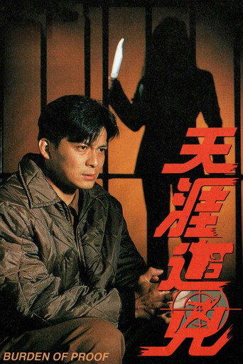 天涯追凶 movie poster