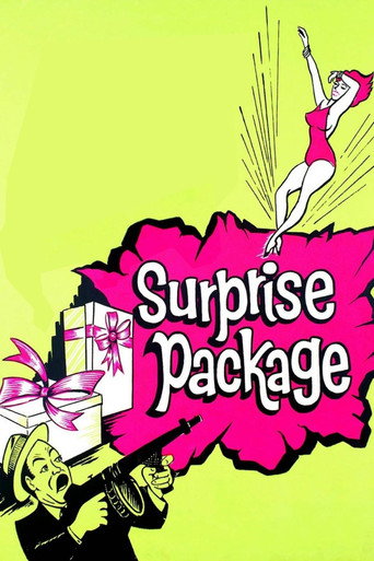 Surprise Package movie poster