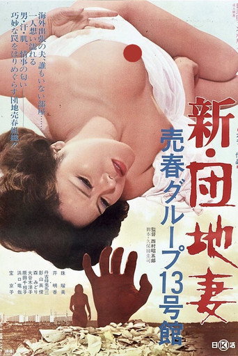 New Apartment Wife: Prostitution in Building #13 movie poster