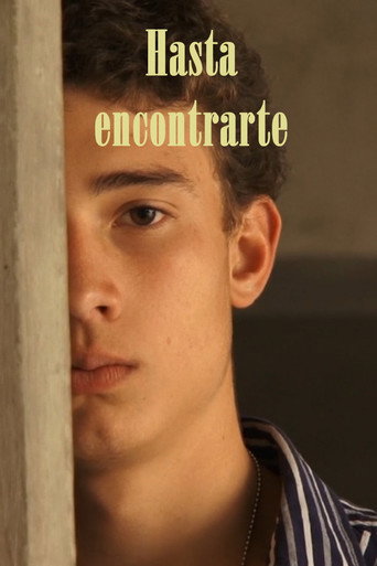Hasta encontrarte movie poster