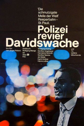 Polizeirevier Davidswache movie poster