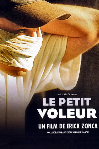 The Little Thief movie poster