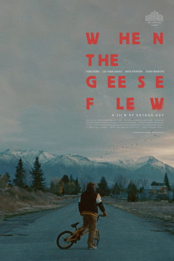 When the Geese Flew movie poster