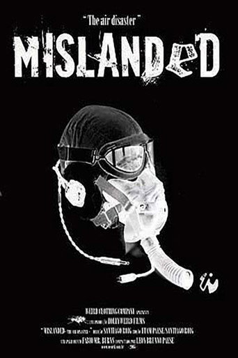 Mislanded: The Air Disaster movie poster