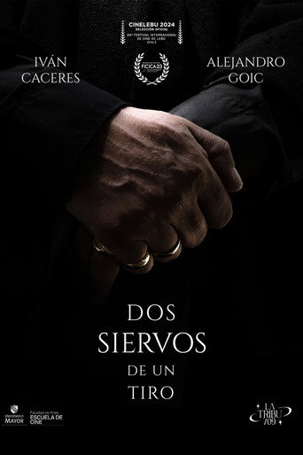 TWO SERVANTS. ONE STONE movie poster