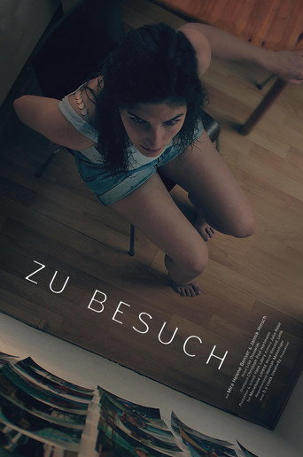 Visiting movie poster