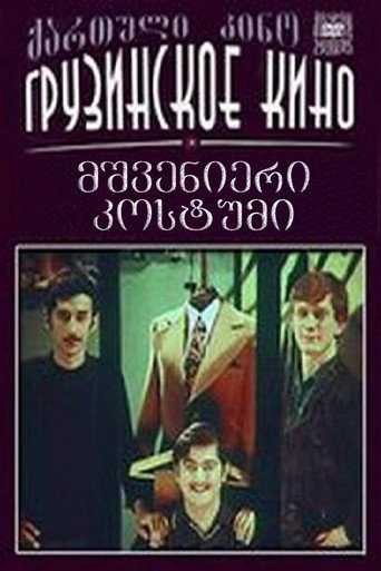 Marvellous Suit movie poster