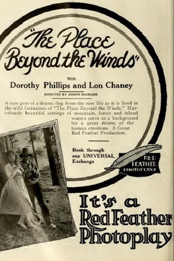 The Place Beyond the Winds movie poster