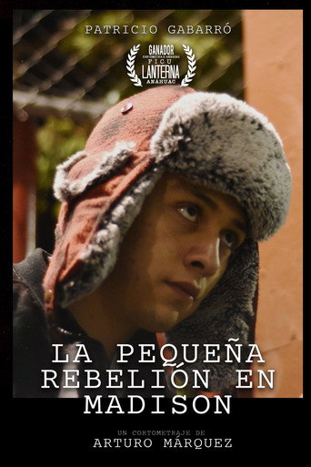 Slight Rebellion Off Madison movie poster