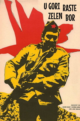 The Pine Tree in the Mountain movie poster