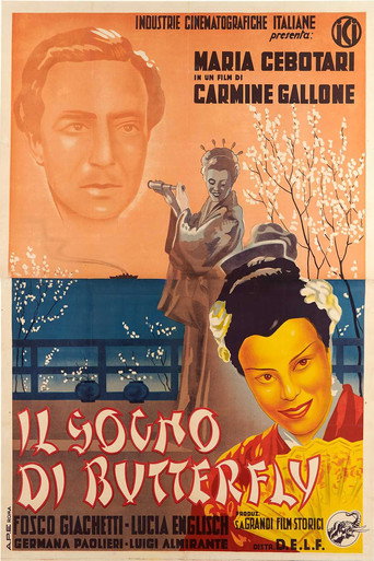 The Dream of Butterfly movie poster