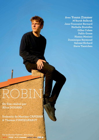 Robin movie poster