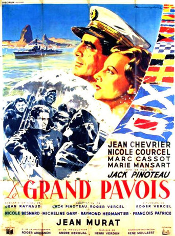 The Big Flag movie poster