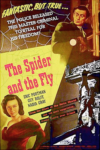 The Spider and the Fly movie poster