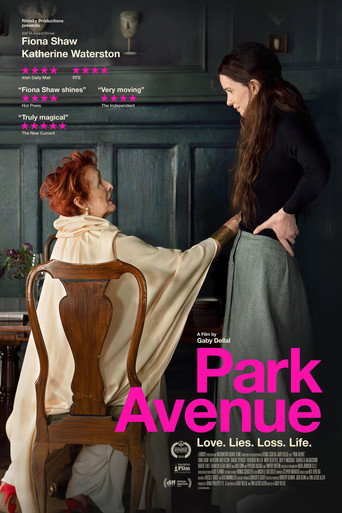 Park Avenue movie poster