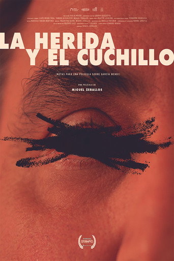 The Wound and the Knife (Notes for a Film About García Wehbi) movie poster