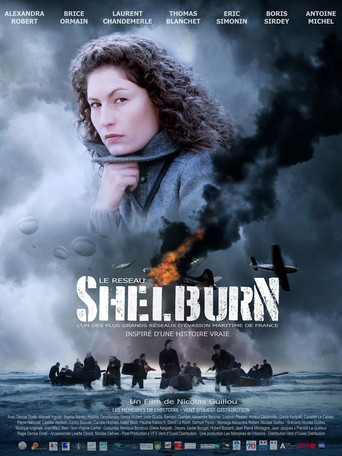 The Shelburn Network movie poster