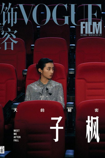 Meet Me After Fall movie poster