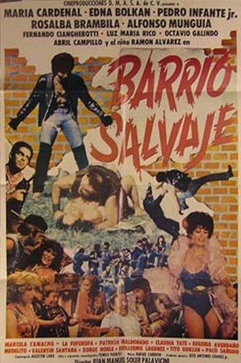 Barrio Salvaje movie poster
