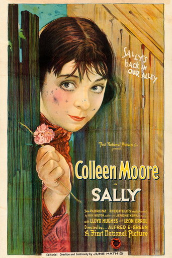 Sally movie poster