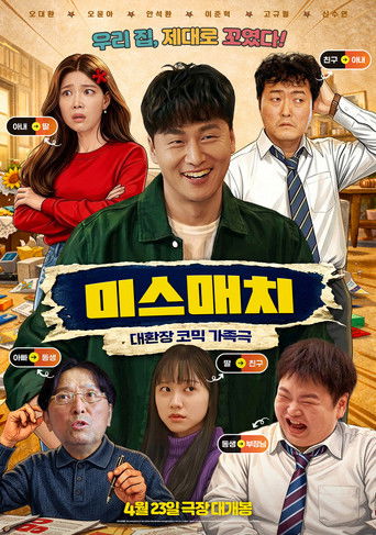 Miss Match movie poster
