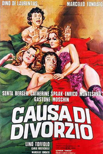 Cause of Divorce movie poster