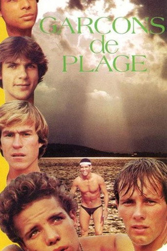 Beach Boys movie poster
