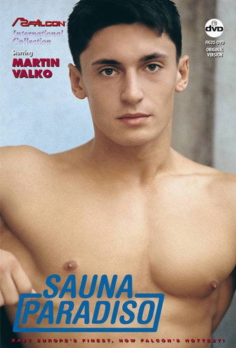 Sauna Paradiso movie poster