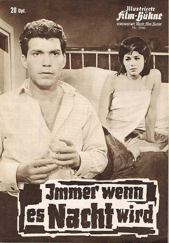 Immer wenn es Nacht wird movie poster