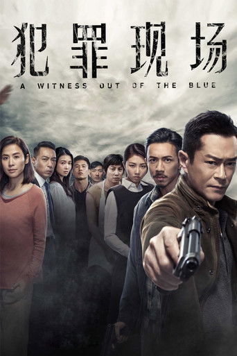 A Witness Out of the Blue movie poster