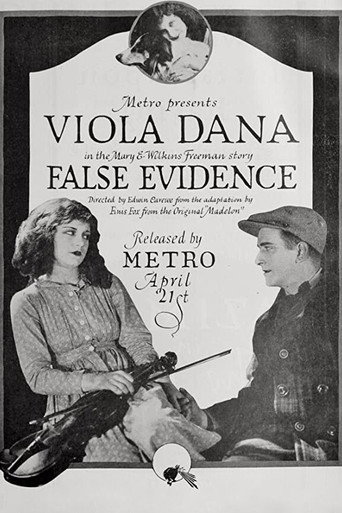 False Evidence movie poster