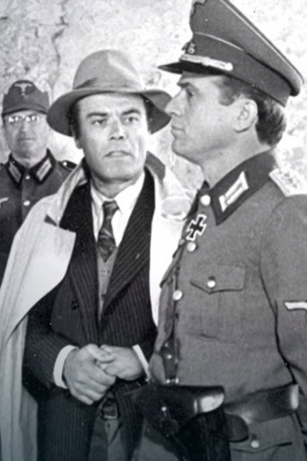 In the Name of Freedom movie poster