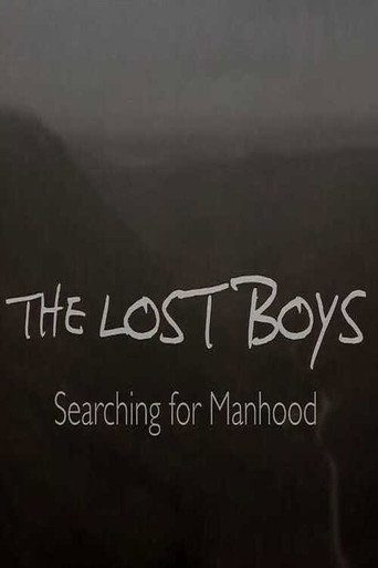 The Lost Boys: Searching for Manhood movie poster