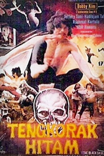 The Black Skull movie poster