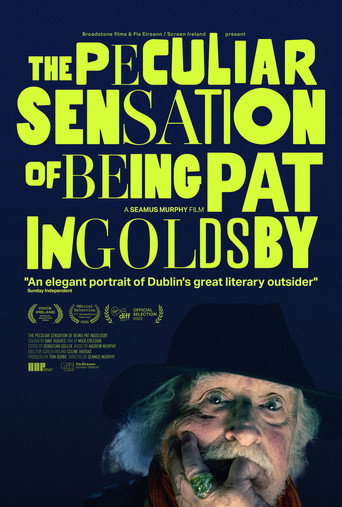 The Peculiar Sensation of Being Pat Ingoldsby movie poster