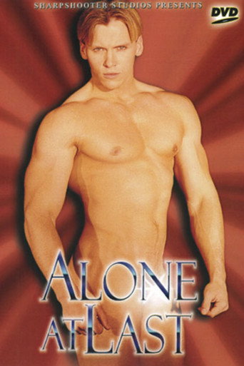 Alone At Last movie poster