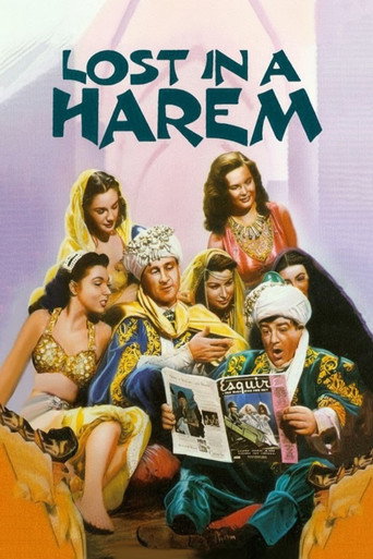 Lost in a Harem movie poster