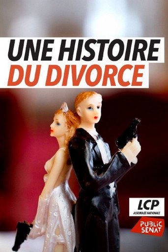 Une histoire du divorce movie poster