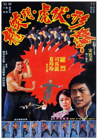 Secret of Chinese Kung Fu movie poster