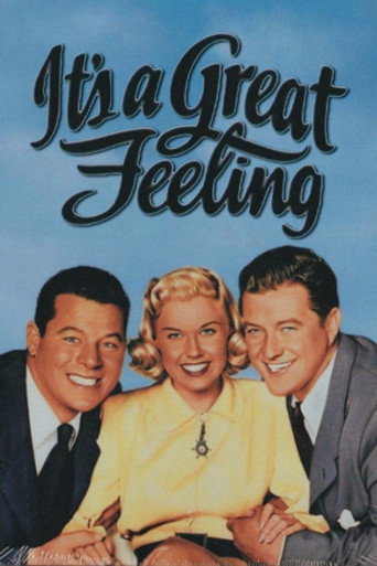 It's a Great Feeling movie poster