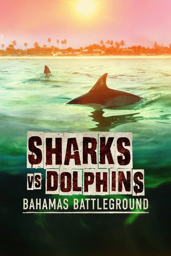 Sharks vs. Dolphins: Bahamas Battleground movie poster