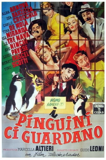 I pinguini ci guardano movie poster