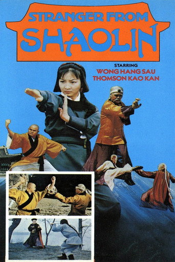 Stranger from Shaolin movie poster