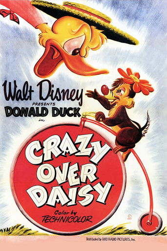 Crazy Over Daisy movie poster