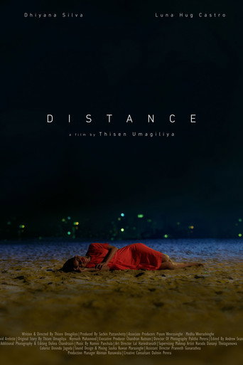 Distance movie poster